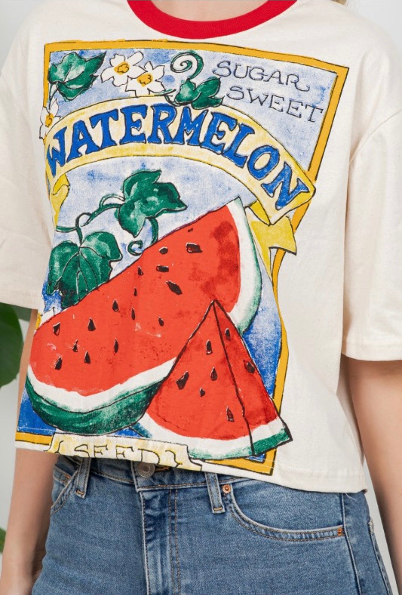 Watermelon Crop Top